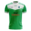 Fermanagh LGFA Kids' Home Outfield Jersey 2022