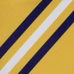 Camogie All Stars Away Jersey -Sportswear Shop all stars camogie away jersey amber 5