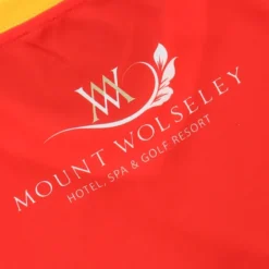 Carlow GAA Baby Home Jersey 2022 -Sportswear Shop carlow home reg fit jersey 22 6 1