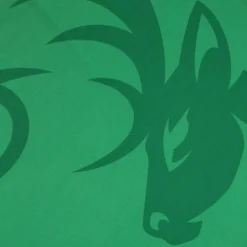 Kerry GAA Baby Home Jersey 2022 15 Kerry GAA Baby Home Jersey 2022 -Sportswear Shop kerry home jersey 2022 9 2