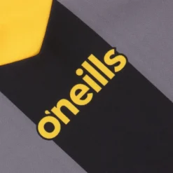 Kilkenny GAA Baby Goalkeeper Jersey 2022 -Sportswear Shop kilkenny gk reg fit jersey 22 blk amb 4 1